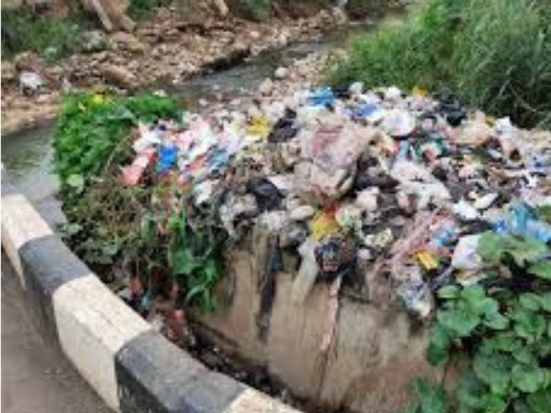 an illustration of a improper waste disposal