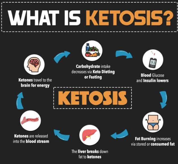 What is ketosis