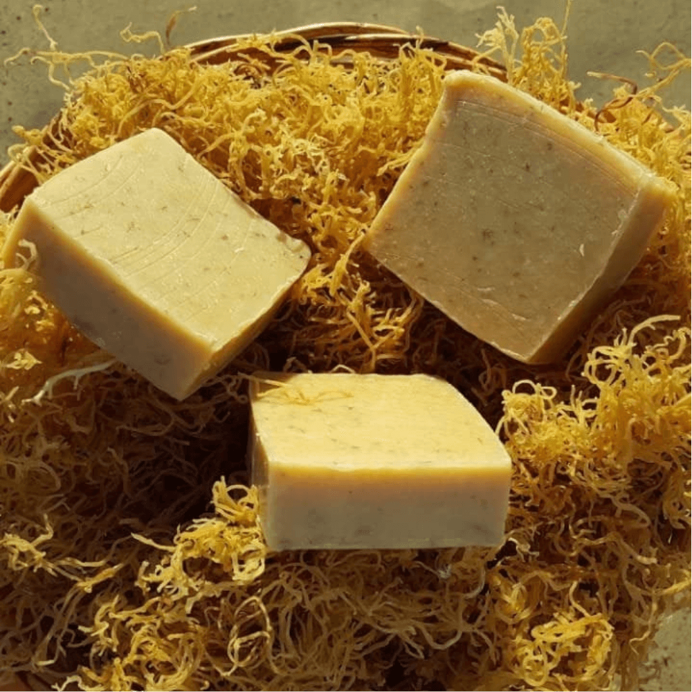 Iset By Nature Turmeric Sea Moss Soap