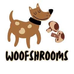 mushroom powder for dogs