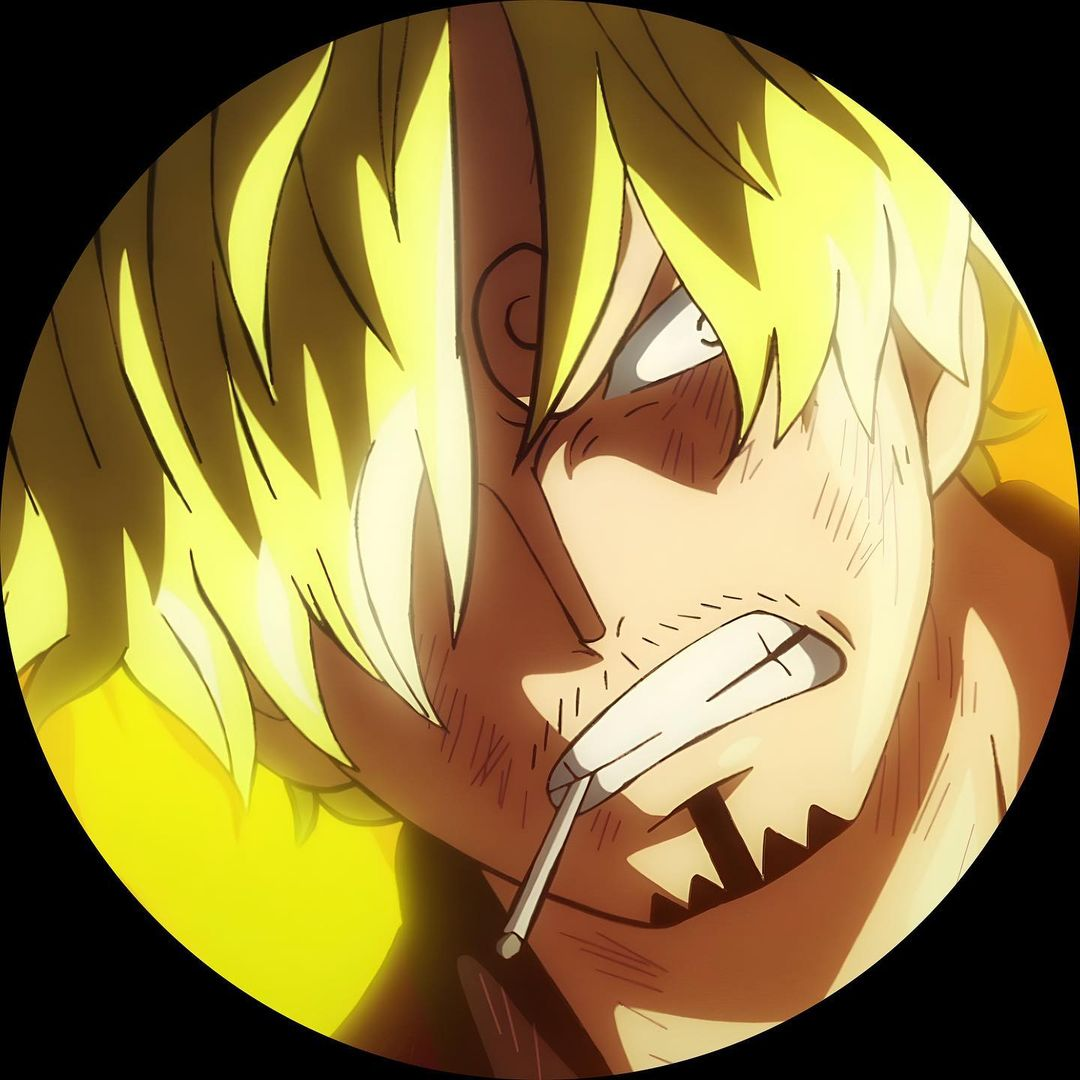 One Piece PFP: 40 Profile Pictures For Fans - LAST STOP ANIME