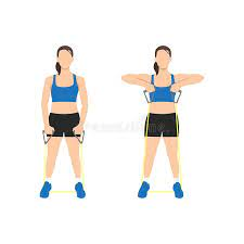 Standing Row Exercise Weight Stock Illustrations – 31 Standing Row Exercise  Weight Stock Illustrations, Vectors & Clipart - Dreamstime