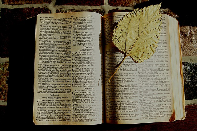 bible, bible study, bookmark