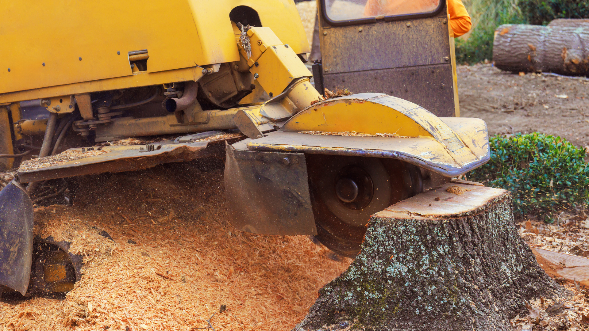 An industrial stump grinder removing a tree stump.