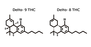 Delta 8 Gummies vs. Delta 9 Gummies: Key Differences and Benefits