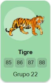 tigre no jogo do bicho