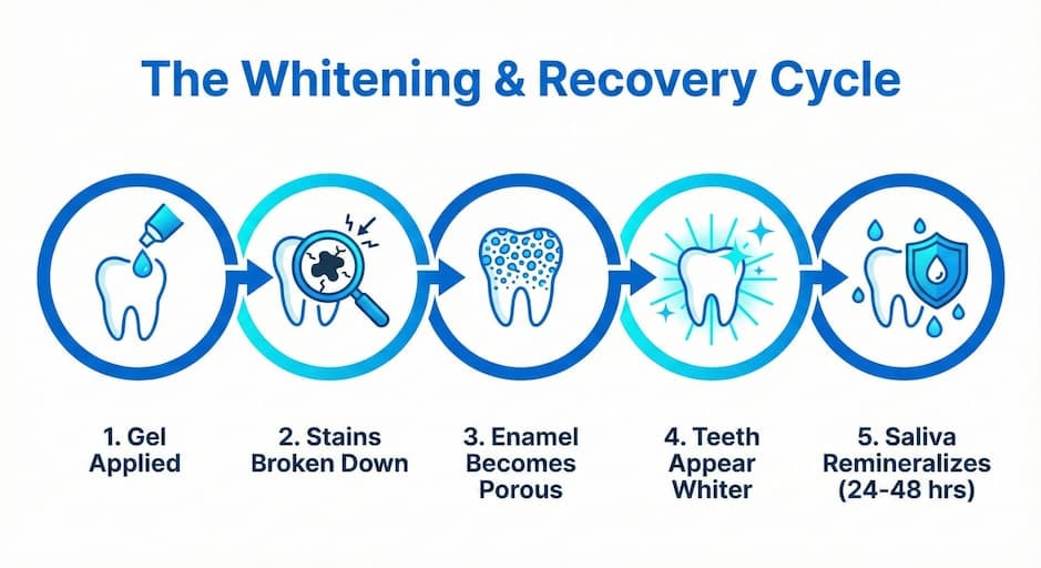How Does Teeth Whitening Affect Enamel?