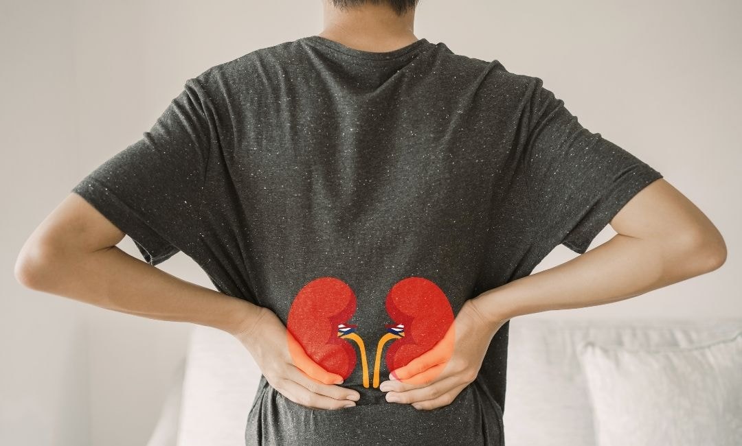healther concerns: cardiovascular disease blood sugar control 