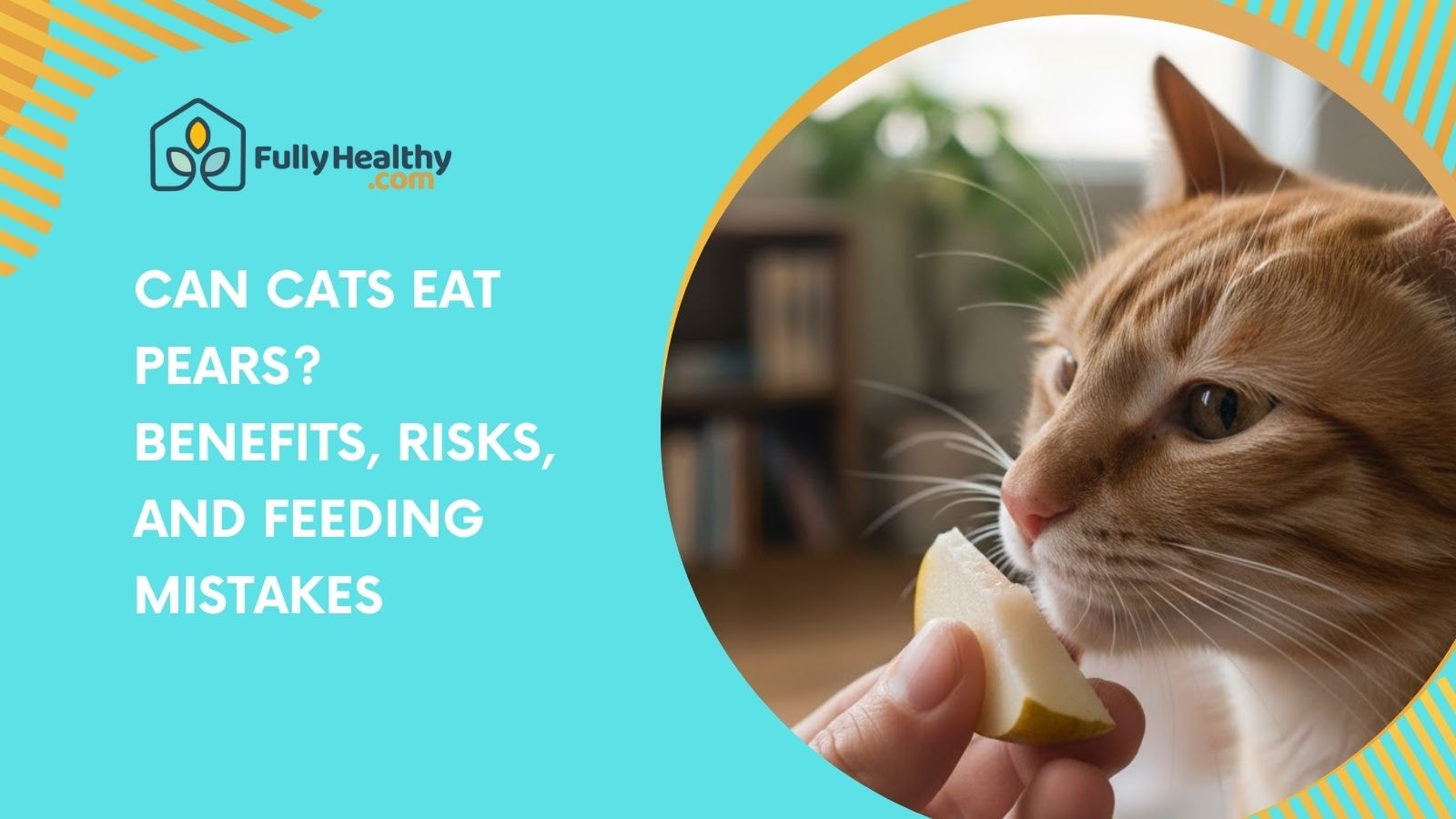 Can Cats Eat Pears? Benefits, Risks, and Feeding Mistakes