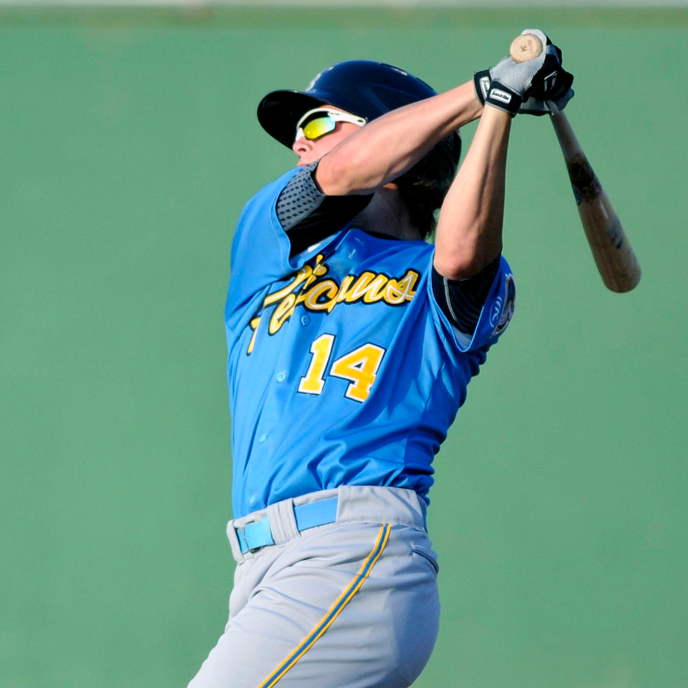 Our first Myrtle Beach Pelicans experience! From home runs to