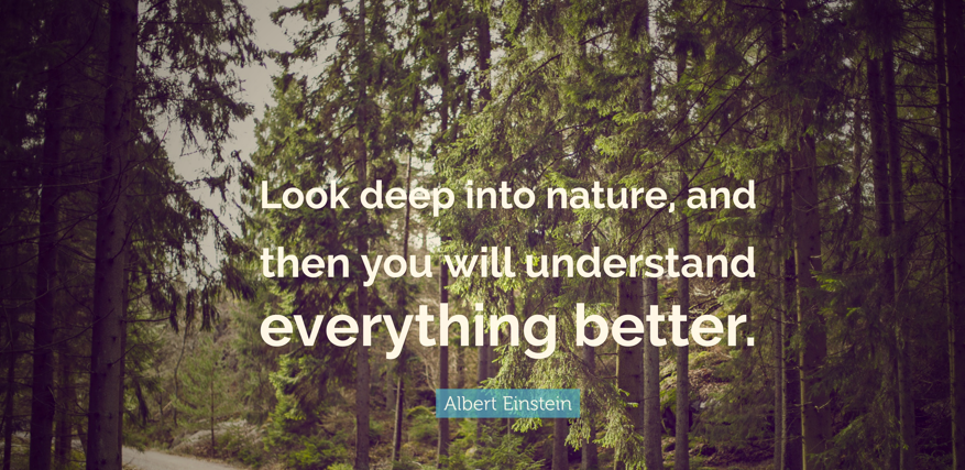 Look deep into nature, and then you will understand everything better; Albert Einstein: