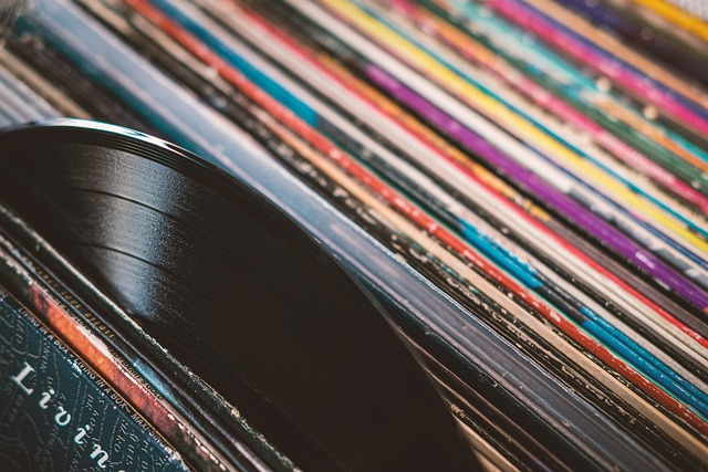 Storing vinyl records