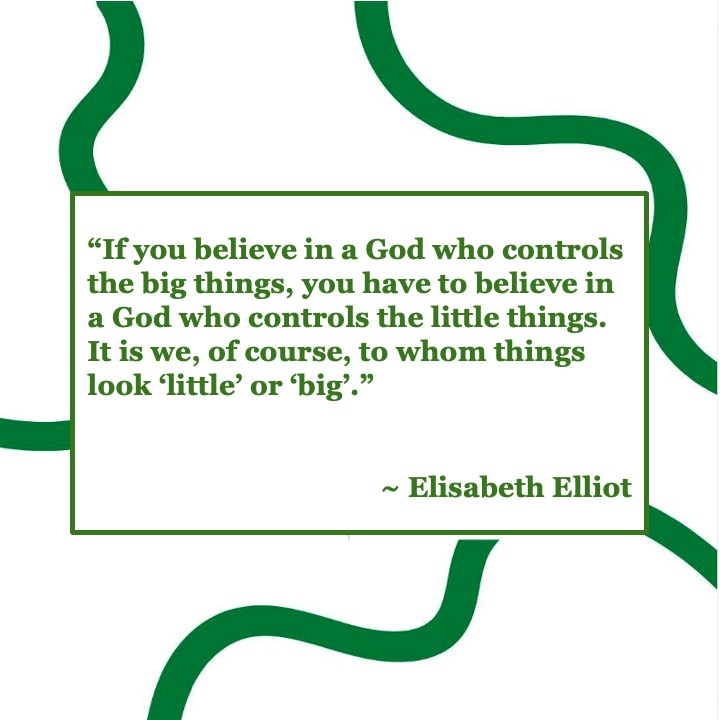 Mental Illness quote by Elisabeth Elliot 