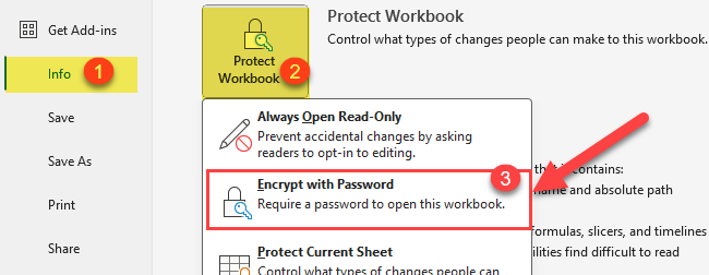 Create a Workbook encrypt with password