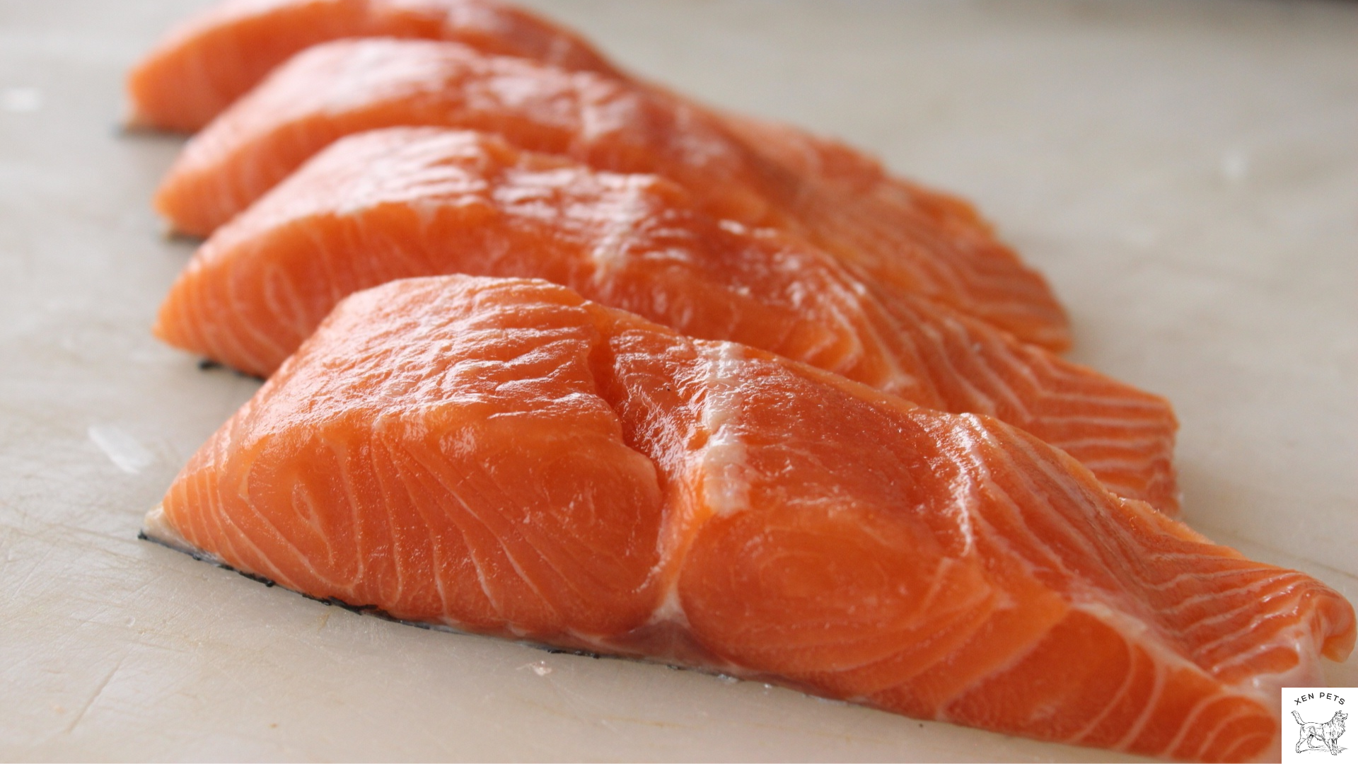 salmon contains vitamin E