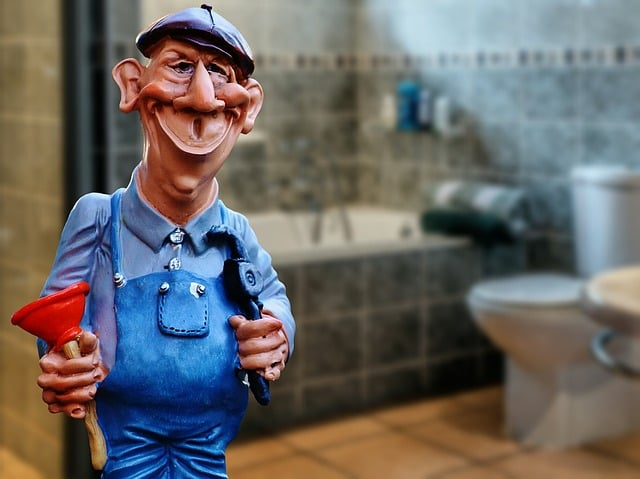 plumber, janitor, pömpel