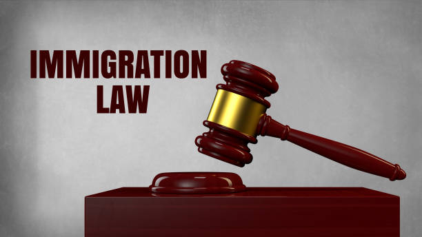 immigration law firm