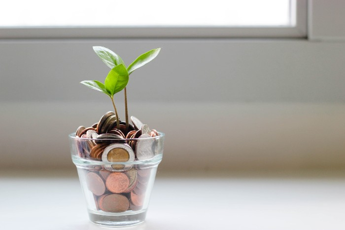 Small Business Owners Can Grow Their Investment by managing their business startup costs