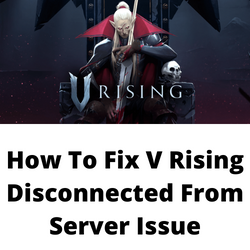 V Rising connection issues