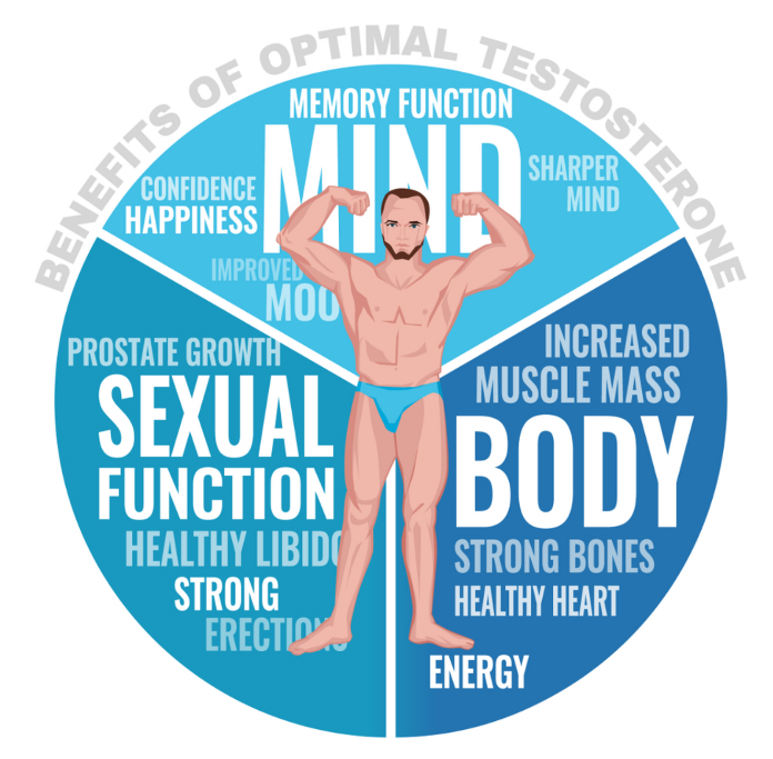 testosterone propionate benefits