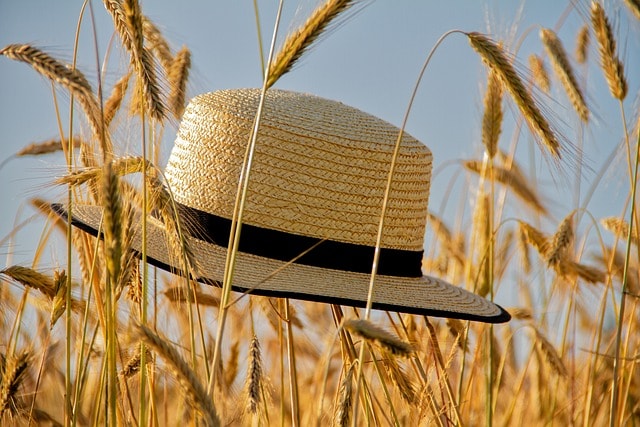 Eco-friendly straw hat