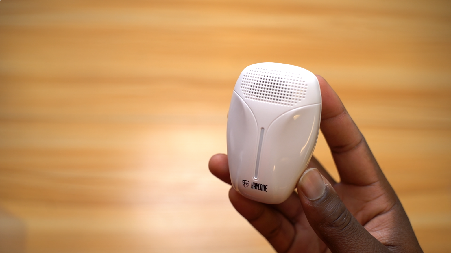Haycone ultarsonic pest repeller