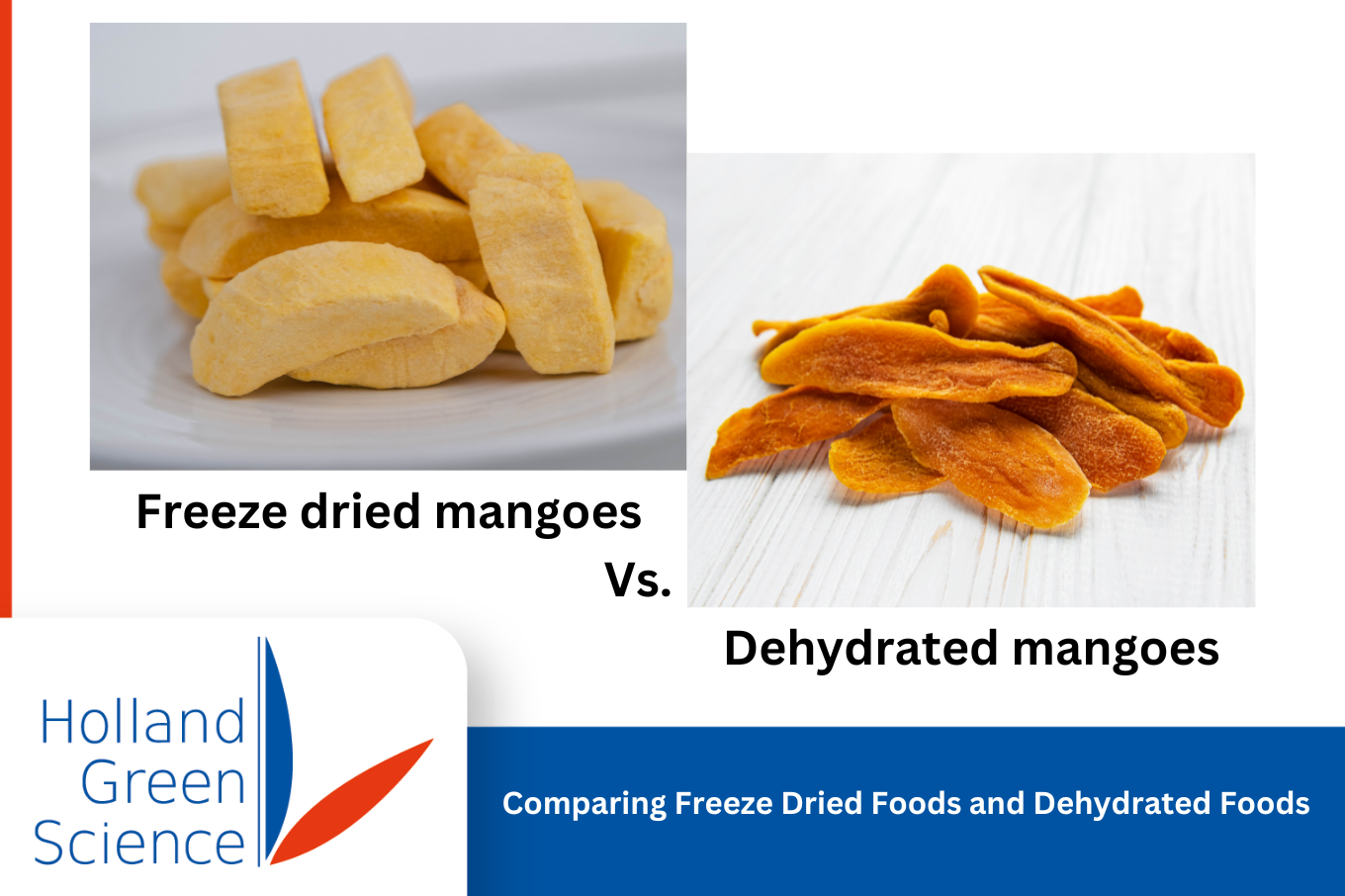 Contrasting Freeze-Dried and Dehydrated Mangoes: A Visual Guide to Food Preservation Methods.