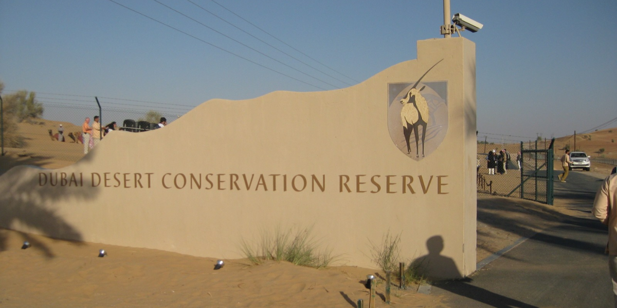 Dubai Desert Conservation Reserve