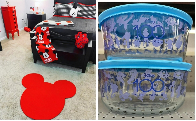 Disneyland houseware