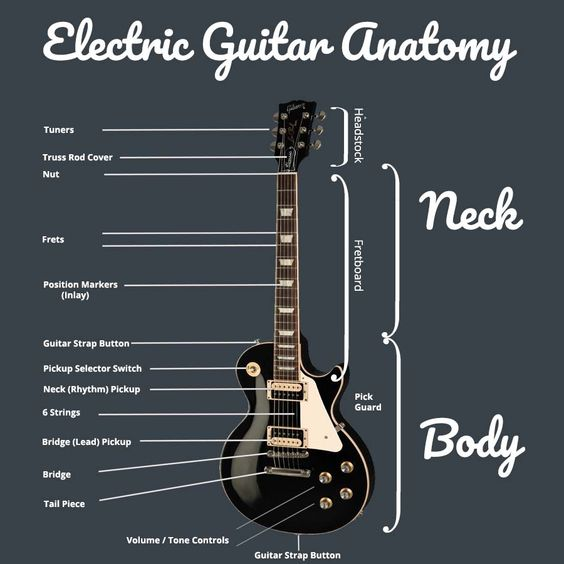 parts of a guitar detailed anatomy