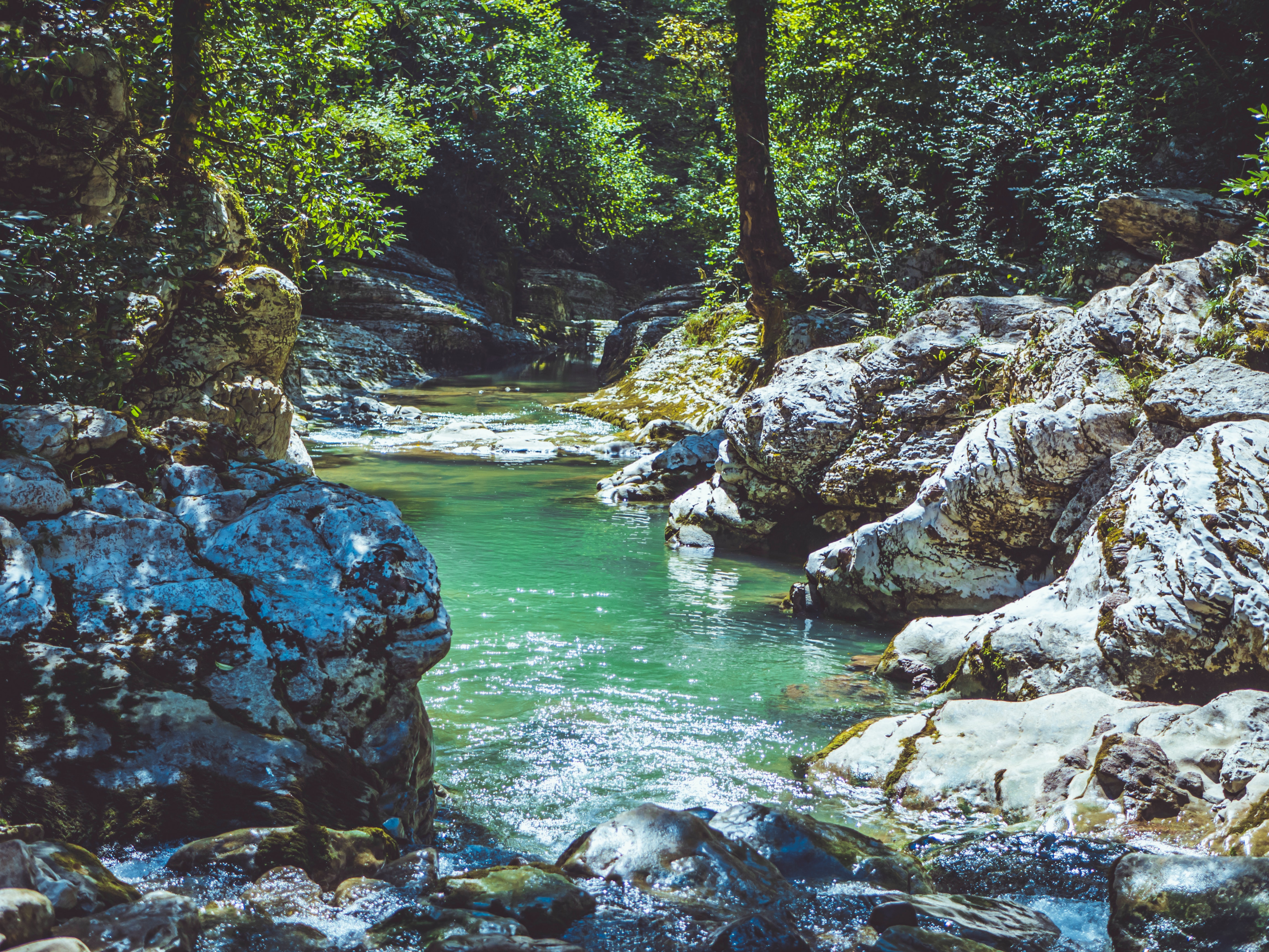 spring water surrounded by rocks and trees