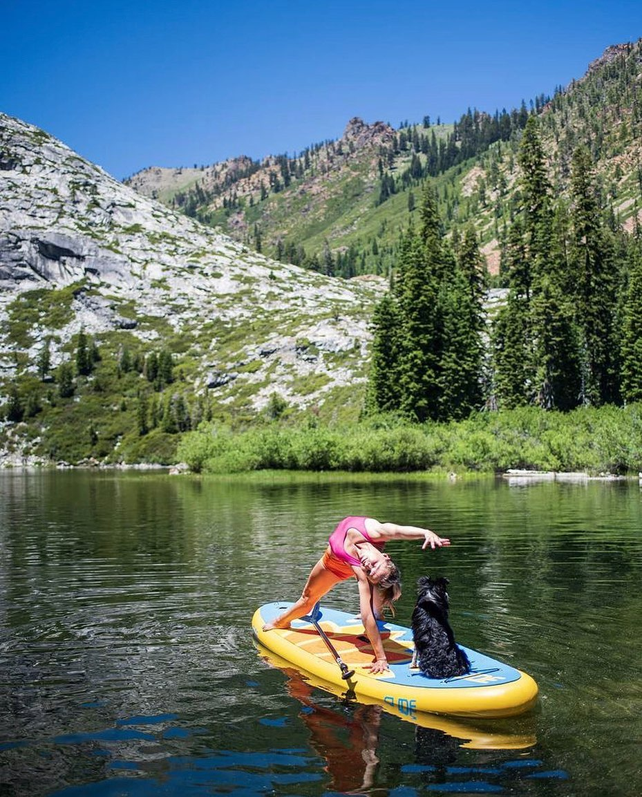 large dog on a stand up paddle board