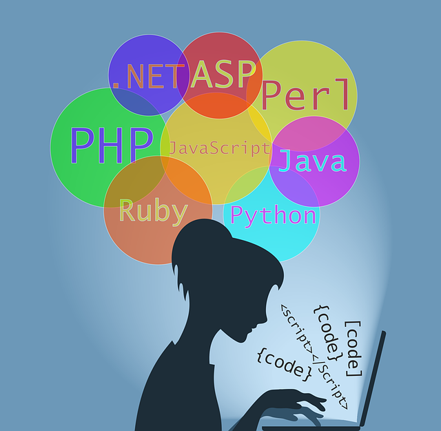 web development, php, java