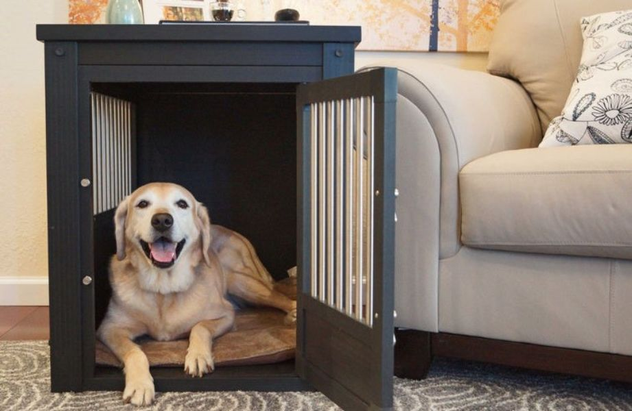 New Age Pet InnPlace Dog Crate