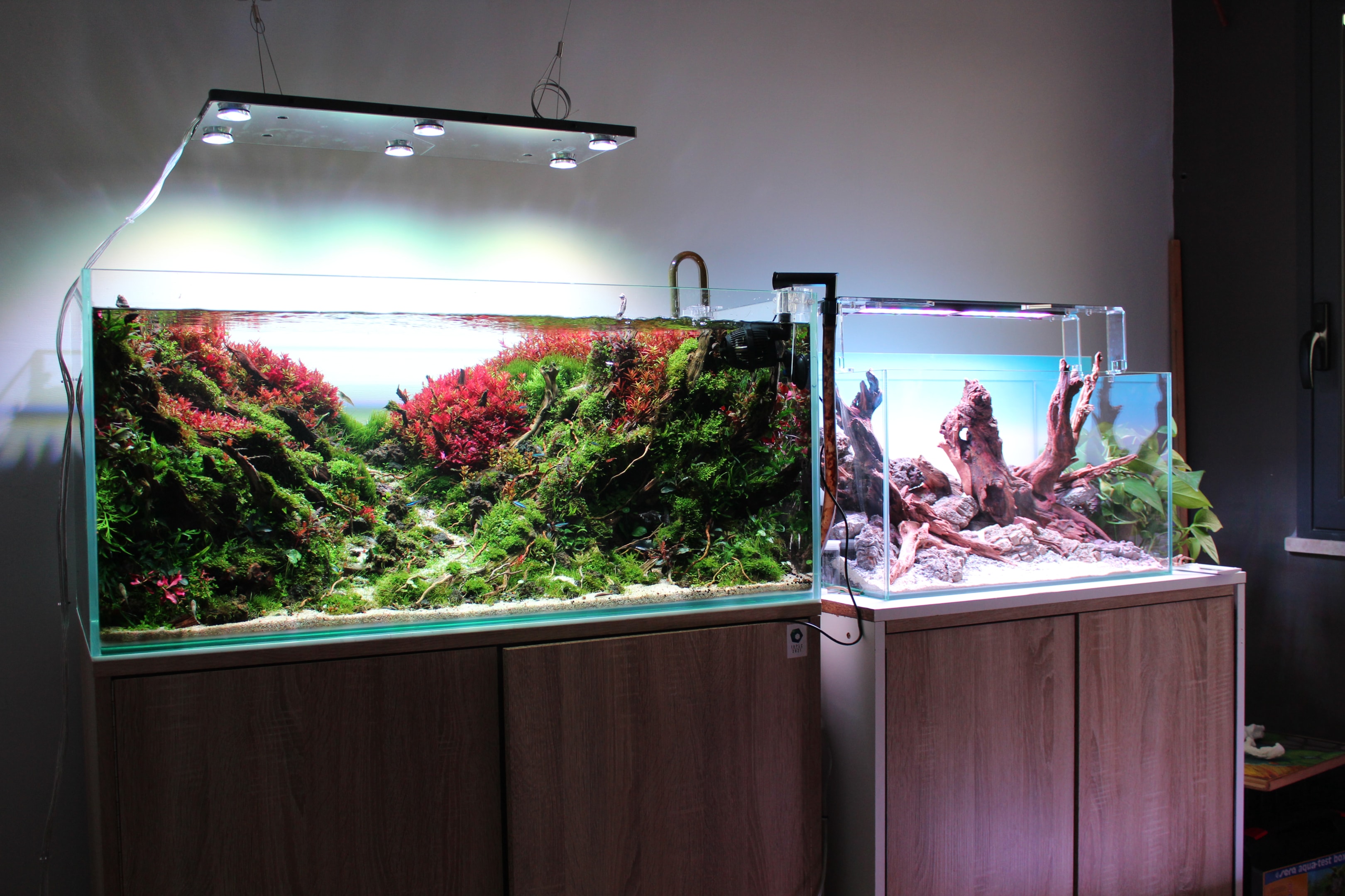 Fish tank location affect the well being of your aquatic life