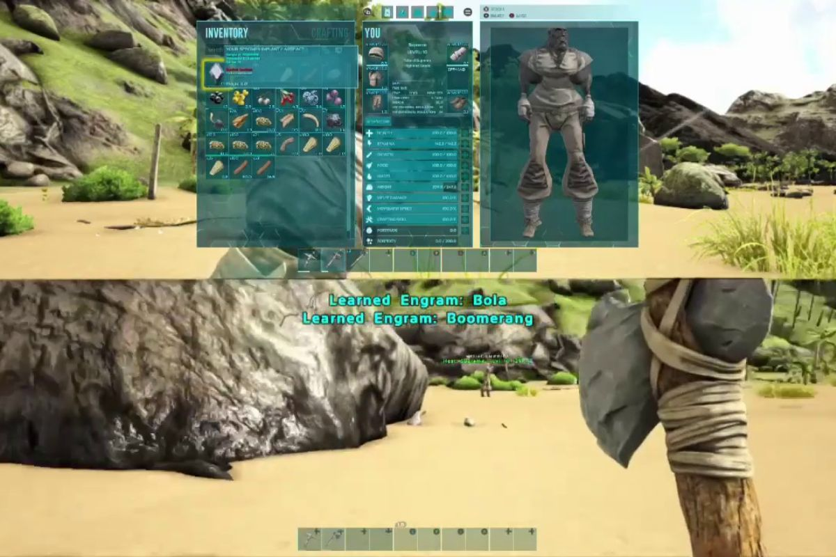 Ark split screen