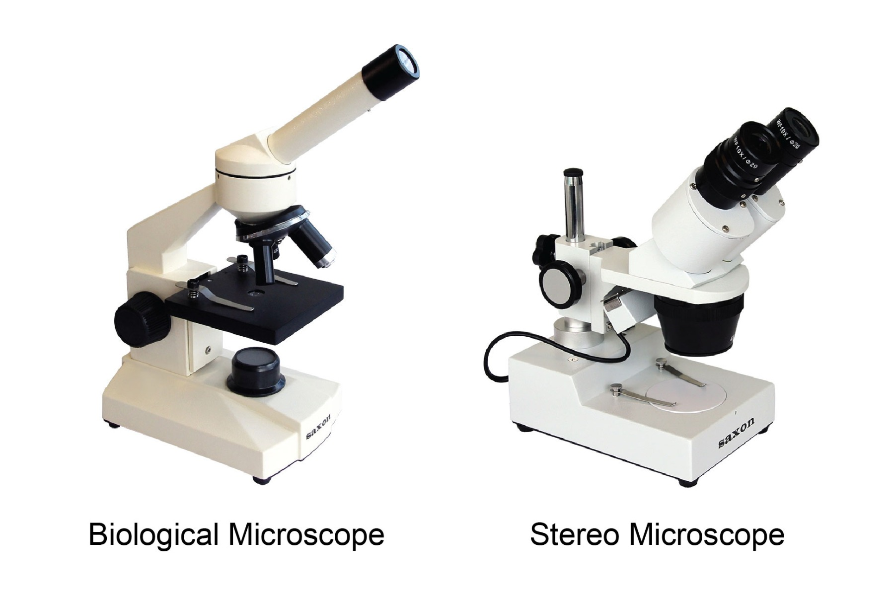 Comparison of compound and stereo microscopes