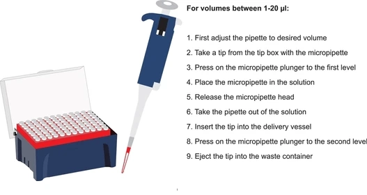 Illustration of pipette tips and accessories organized in a stand