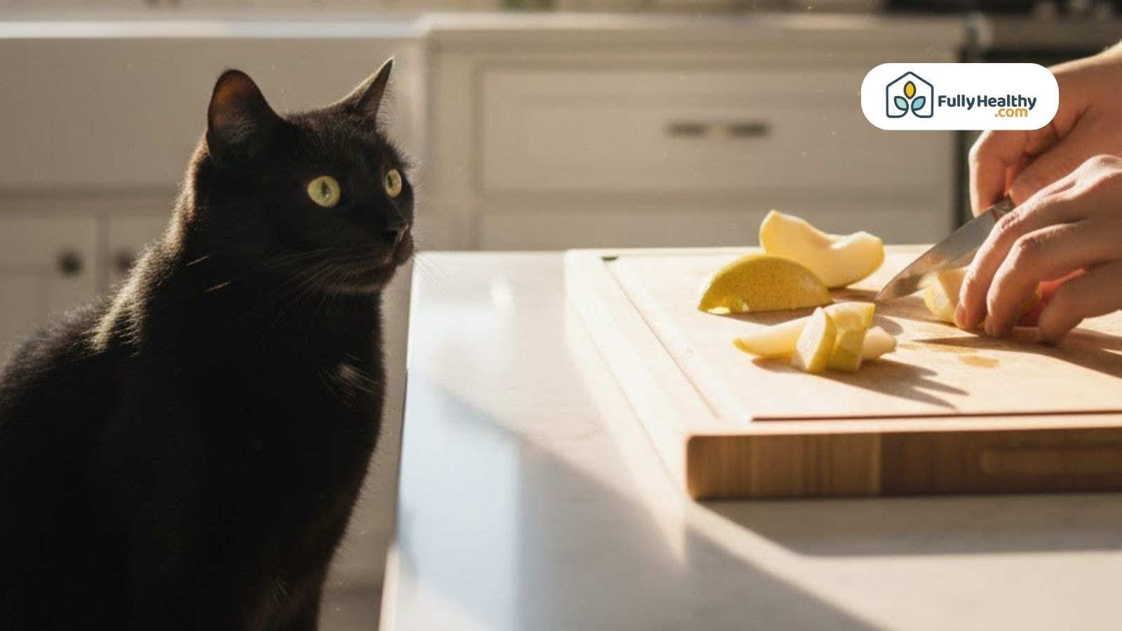 A black cat watches attentively as a person slices a pear on a wooden cutting board in a bright kitchen.