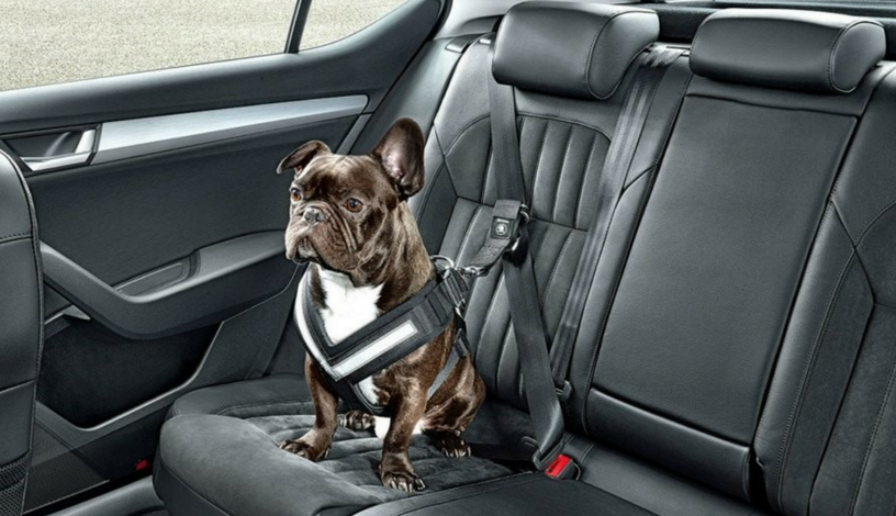 Comfortable Adjustable Dog Car Seat Belts