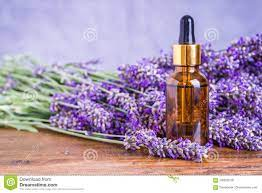 17,196 Lavender Essential Oil Stock Photos - Free & Royalty-Free Stock  Photos from Dreamstime