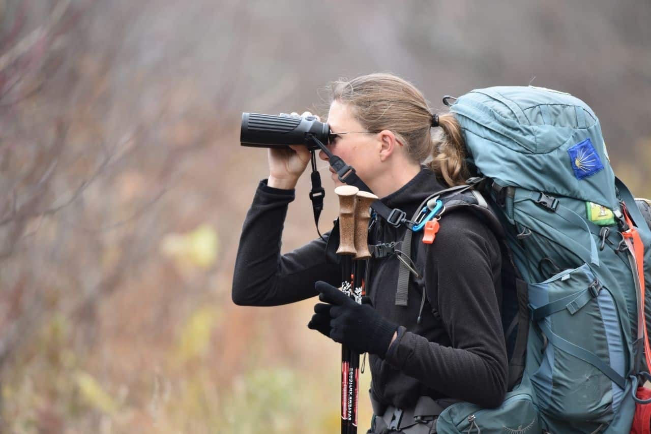 Essential Gear for Effective Bird Watching