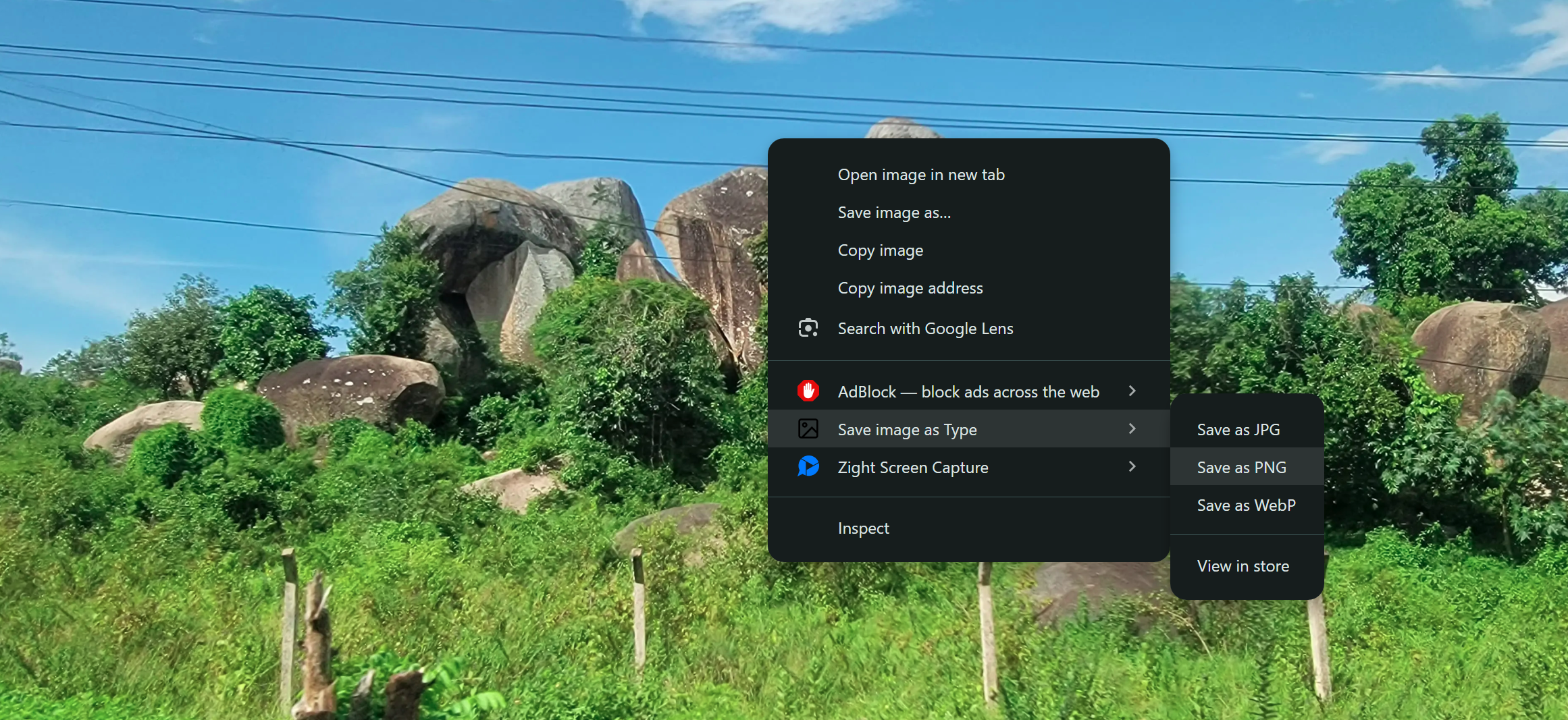Using "Save Image as Type"