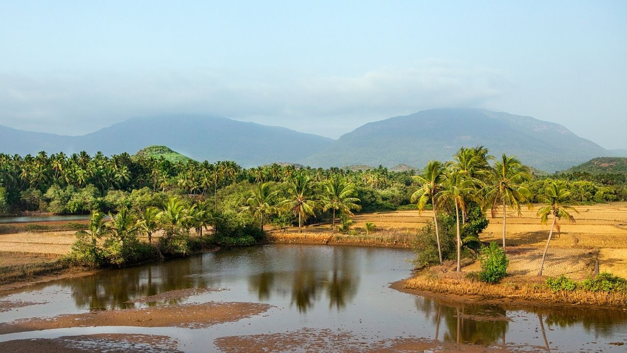 Indian, landscape, national park