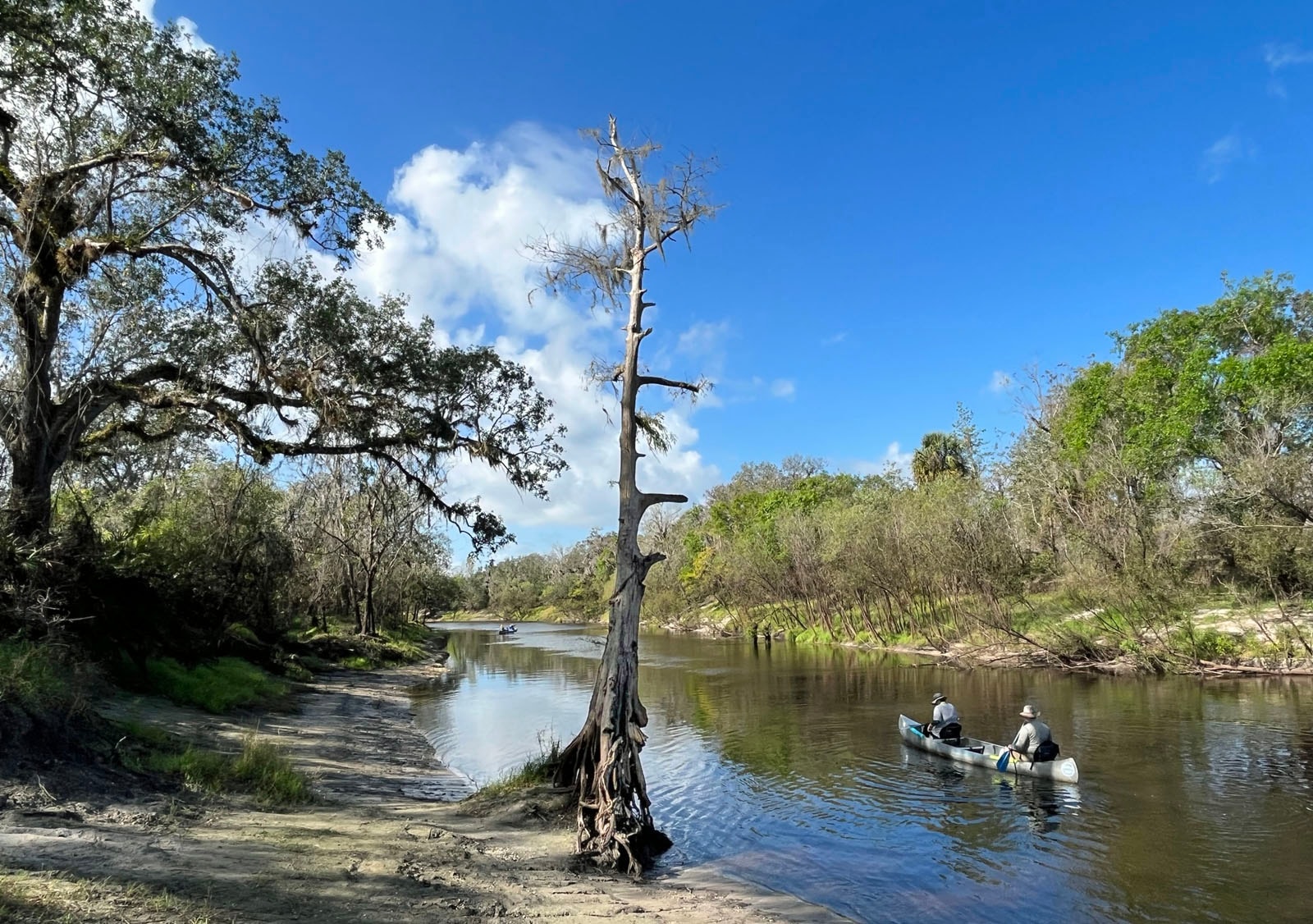 Kayaking Peace River