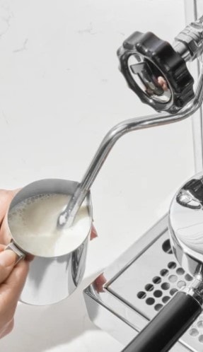 Steam wand/milk frother