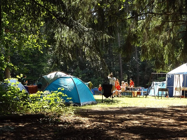 camp, forest, summer