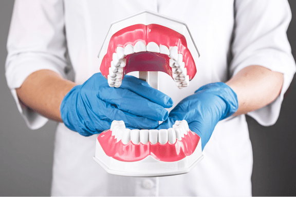 dental professional holding a large jaw model