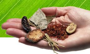 A hand holding various raw herbal ingredients with a green leaf background.