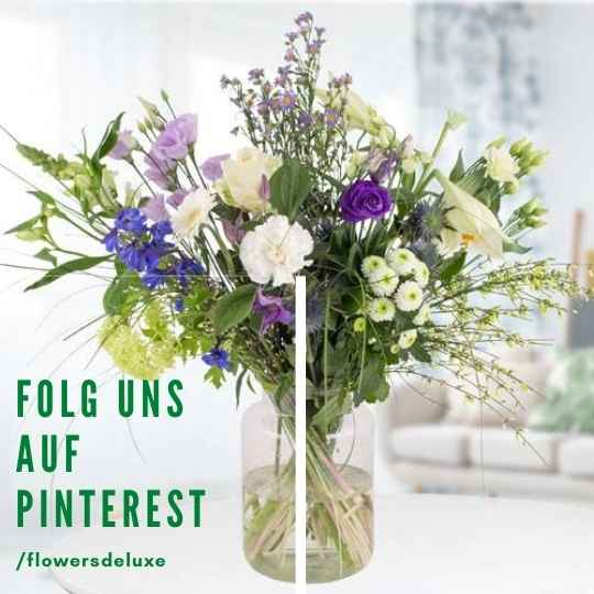 FlowersDeluxe auf Pinterst folgen